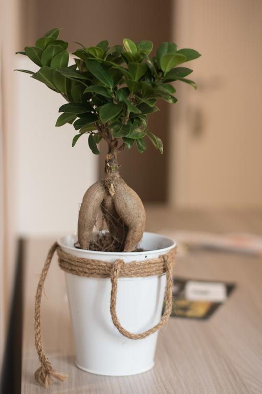 Bagnasco 18 Suite&Terrace باليرمو المظهر الخارجي الصورة